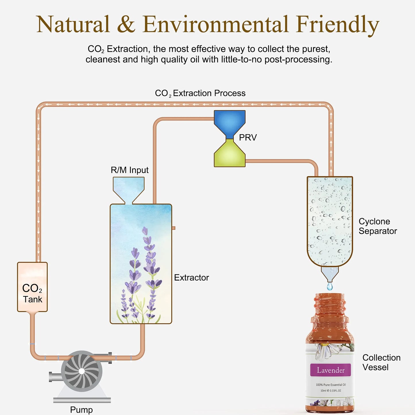 Complete Essential Oils Set – Premium Aromatherapy Collection