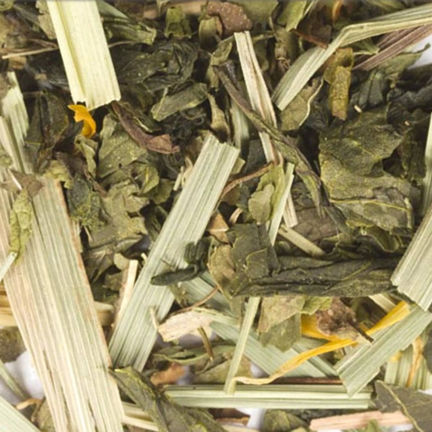 Citrus Mint Green Loose Leaf Tea