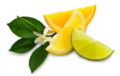 Citrus Mint Green Loose Leaf Tea