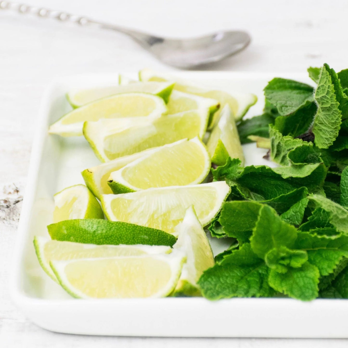Citrus Mint Green Loose Leaf Tea